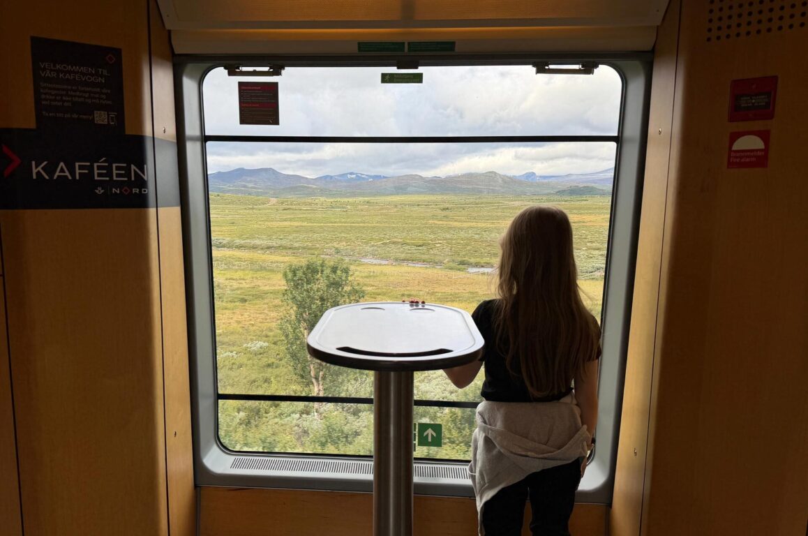 Kvinne med langt hår står ved vindu i tog og ser ut over grønn åkerlandskap med fjell i bakgrunnen; moderne bord foran henne.