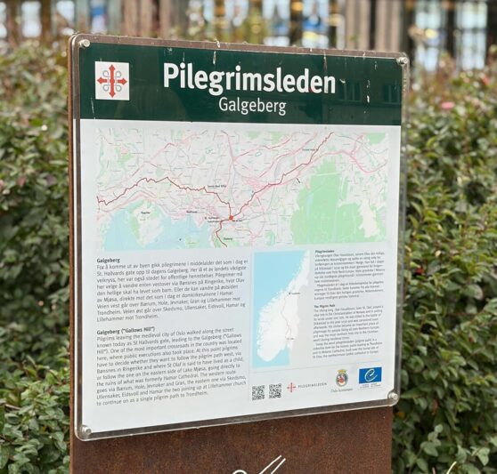 Vendig grønn informasjonstavle med kart og tekst som viser Pilegrimsleden Galgeberg, omgitt av busker og bakgrunn av bygg og glassvinduer.