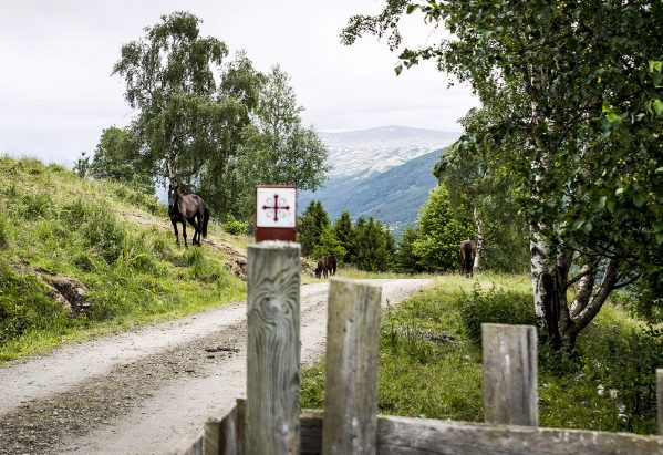 Dovre - Kongsvold