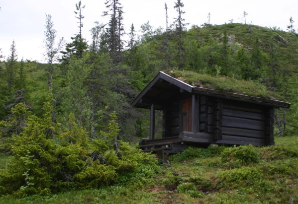 Østerdalsleden