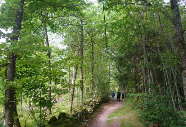 Tunsbergleden