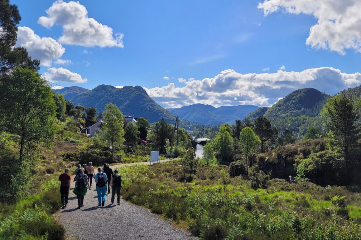 Turveg, vandrarar