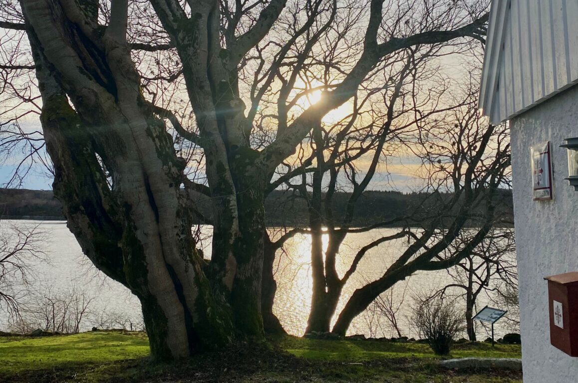 Kystpilegrimsleia - Dolm Middelaldersted