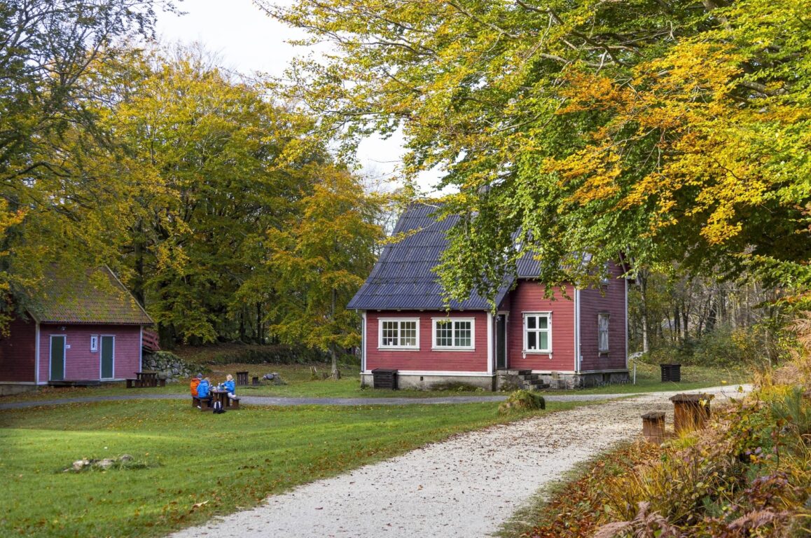 Nature, autumn, many trees, older red building.