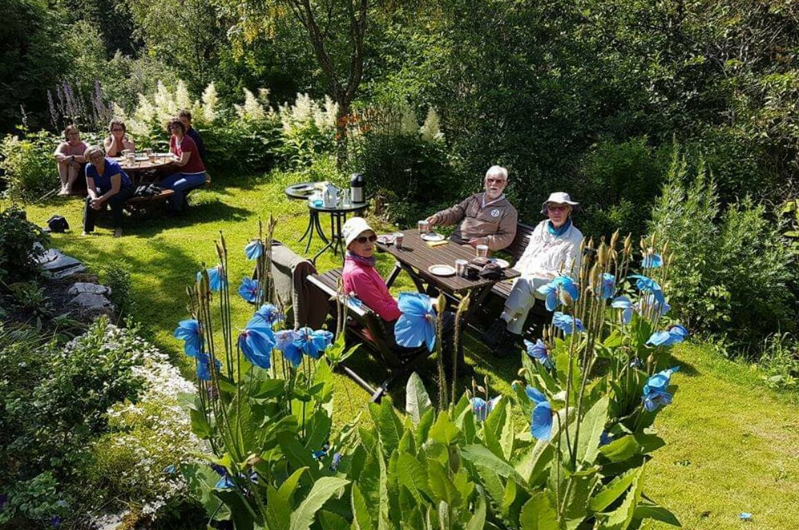 En gruppe nyter solen i en blomsterrik hage