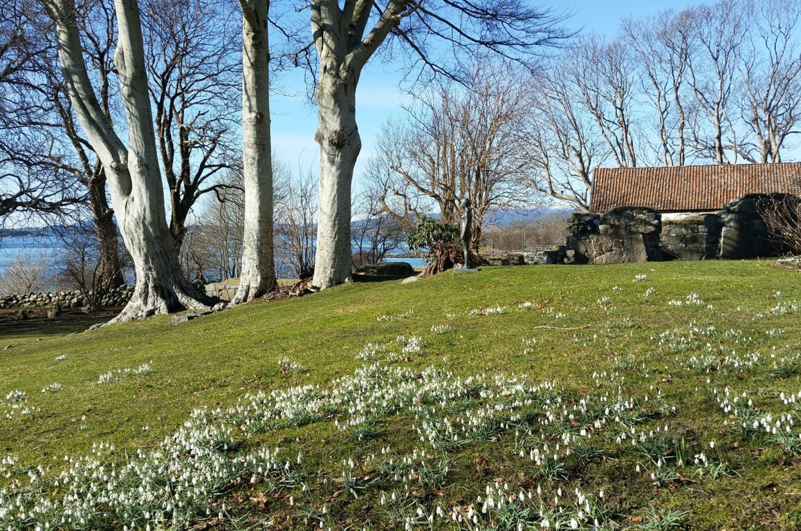 Klostertunet - mot nordvest