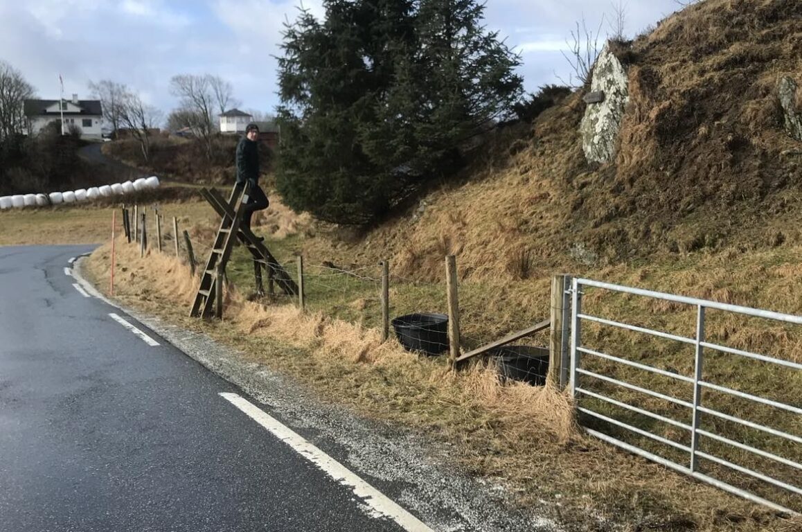 Natur, person som klatrer over