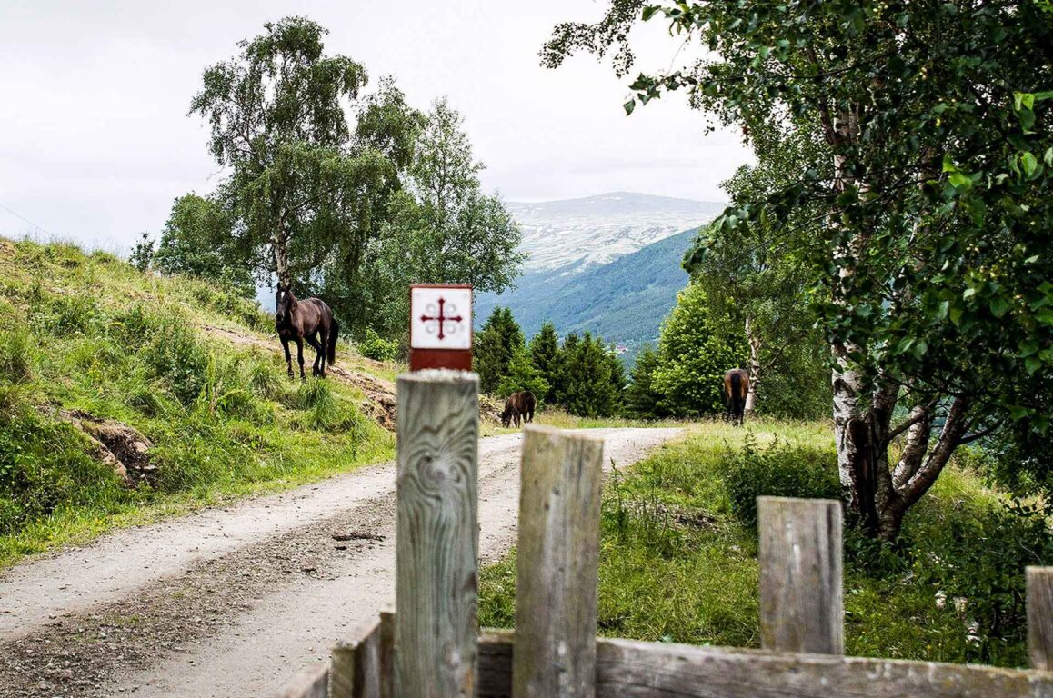 Grind langs kjerreveg. Foto