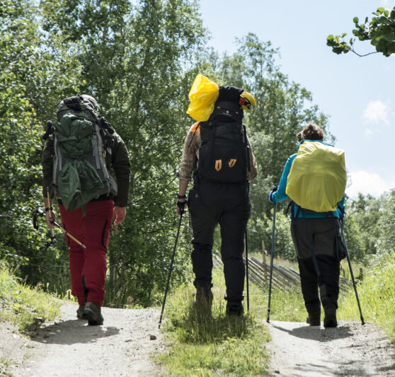 Vandrere med sekk på ryggen. Foto